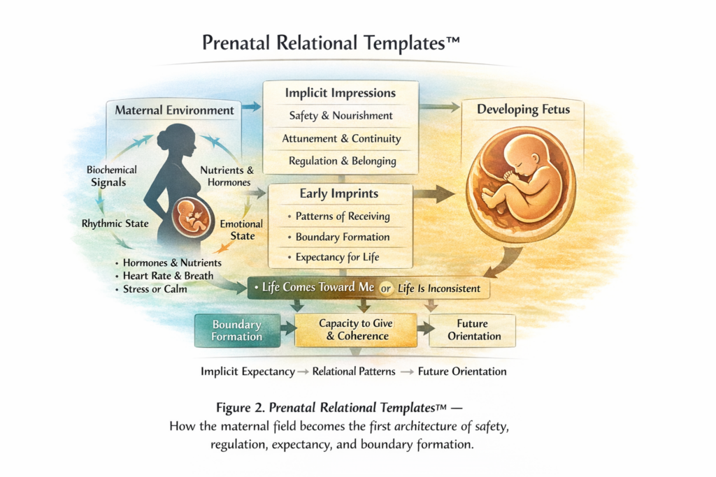 Esperansa Therapy and Counselling Swansea