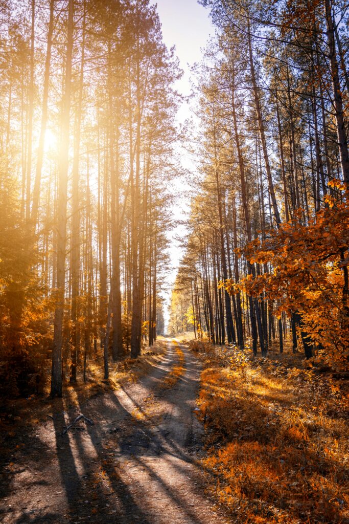 Esperansa Therapy and Counselling Swansea