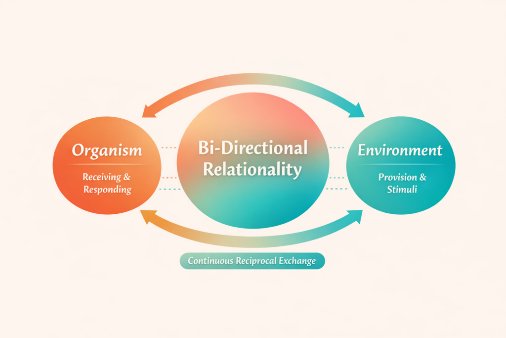 Diagram illustrating bi-directional relationality as a continuous reciprocal exchange between organism and environment within the Innate Entitlement Framework™