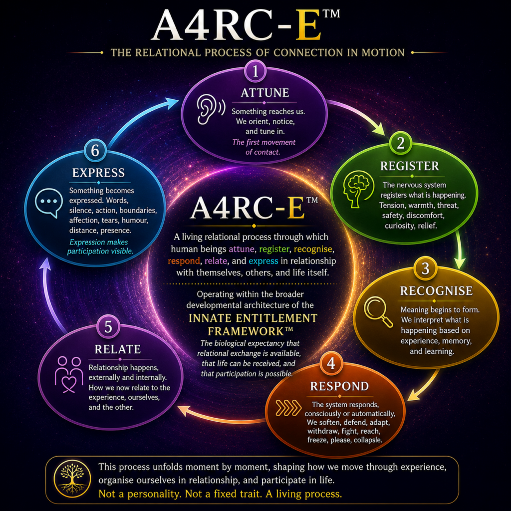 Infographic showing the A4RC-E™ relational process model within the Innate Entitlement Framework™, illustrating Attune, Register, Recognise, Respond, Relate, and Express as stages of human relational processing and participation.