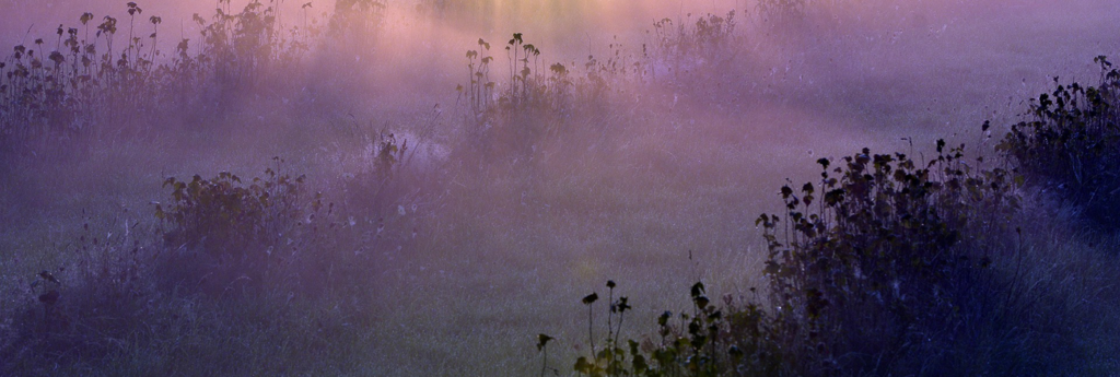 Mindfulness-Based Clinical Hypnotherapy slide